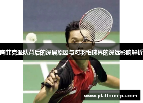 陶菲克退队背后的深层原因与对羽毛球界的深远影响解析 陶菲克退队背后的深层原因与对羽毛球界的深远影响解析