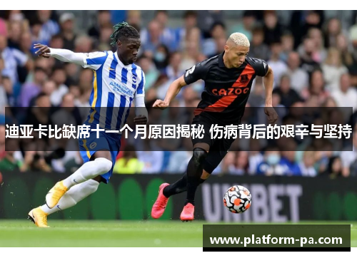 迪亚卡比缺席十一个月原因揭秘 伤病背后的艰辛与坚持