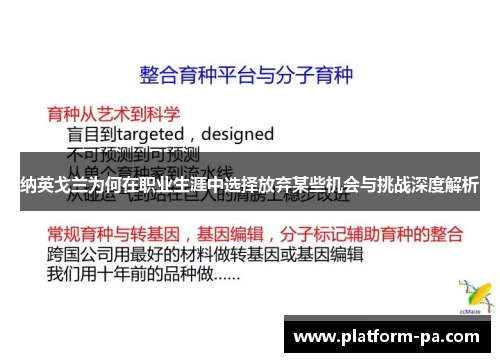 纳英戈兰为何在职业生涯中选择放弃某些机会与挑战深度解析
