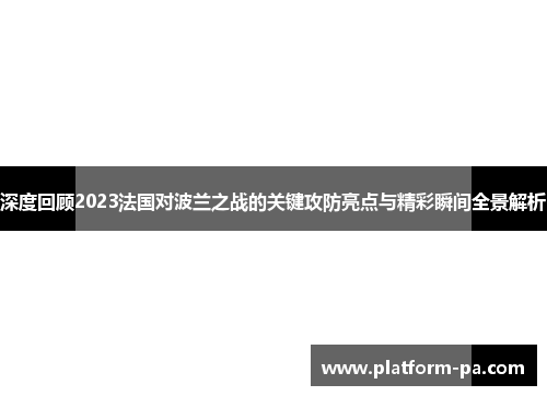 深度回顾2023法国对波兰之战的关键攻防亮点与精彩瞬间全景解析