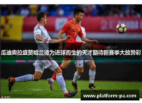 瓜迪奥拉盛赞哈兰德为进球而生的天才期待新赛季大放异彩