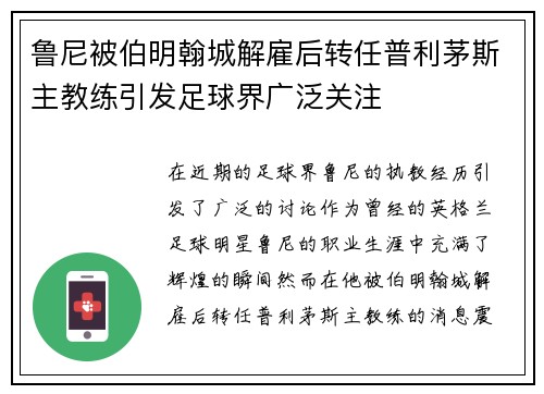 鲁尼被伯明翰城解雇后转任普利茅斯主教练引发足球界广泛关注